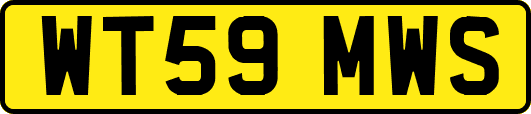 WT59MWS