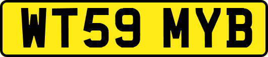 WT59MYB