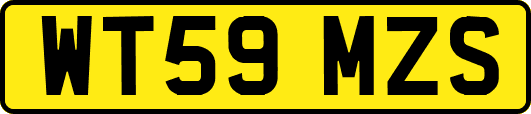 WT59MZS