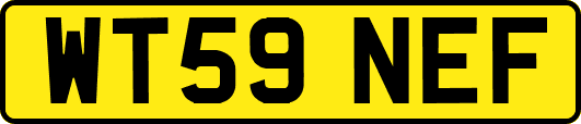 WT59NEF