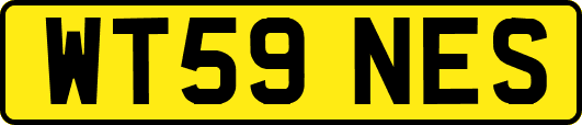 WT59NES