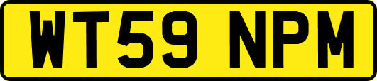 WT59NPM