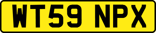 WT59NPX
