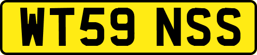 WT59NSS