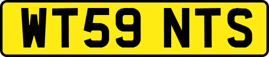 WT59NTS