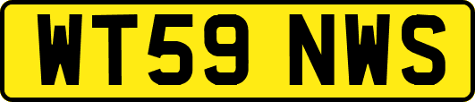 WT59NWS