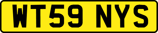 WT59NYS