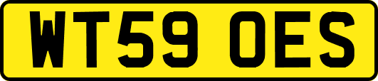 WT59OES