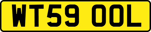 WT59OOL