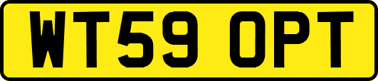 WT59OPT