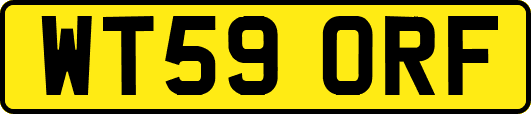 WT59ORF