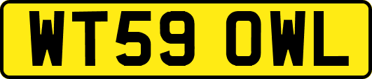 WT59OWL