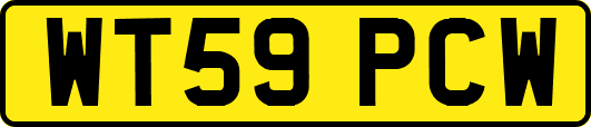 WT59PCW