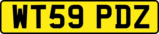 WT59PDZ