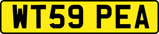 WT59PEA