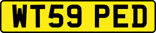 WT59PED