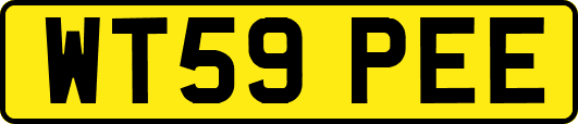 WT59PEE