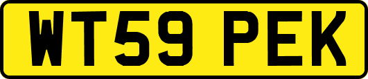 WT59PEK