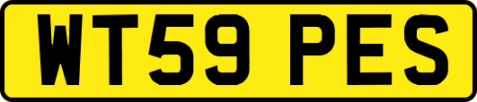 WT59PES