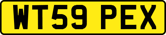 WT59PEX