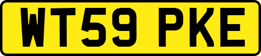 WT59PKE