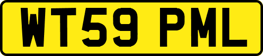 WT59PML