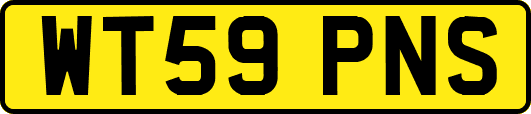 WT59PNS