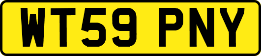 WT59PNY