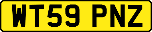 WT59PNZ