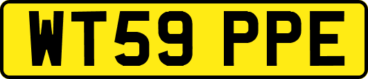 WT59PPE