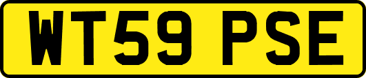 WT59PSE