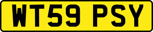 WT59PSY