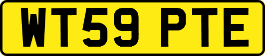 WT59PTE
