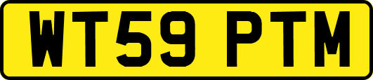 WT59PTM