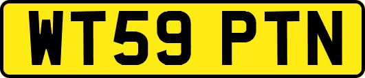 WT59PTN