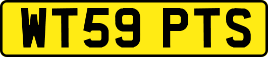 WT59PTS