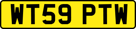 WT59PTW