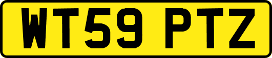 WT59PTZ