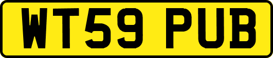 WT59PUB