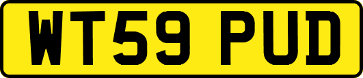 WT59PUD
