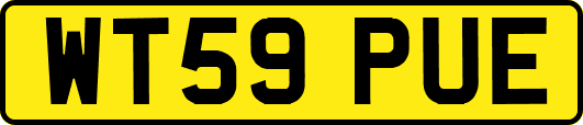 WT59PUE