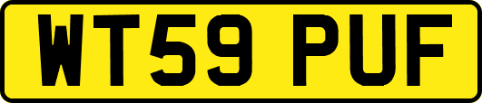 WT59PUF
