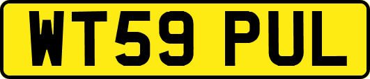 WT59PUL