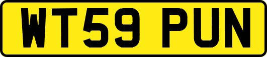 WT59PUN