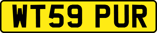 WT59PUR