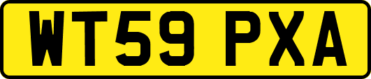 WT59PXA