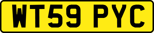 WT59PYC