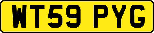 WT59PYG