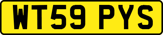 WT59PYS