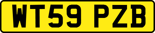 WT59PZB